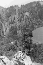 Ein Alpsegen, Richisau Klöntal
(zoom 95kb)