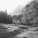 Ein Alpsegen, Richisau, Klntal
(zoom 78kb)