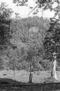Ein Alpsegen, Richisau Klntal
(zoom 99kb)