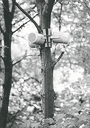 KLANG BEWEGUNG RAUM, Herrenhausen, Hannover
(zoom 60kb)